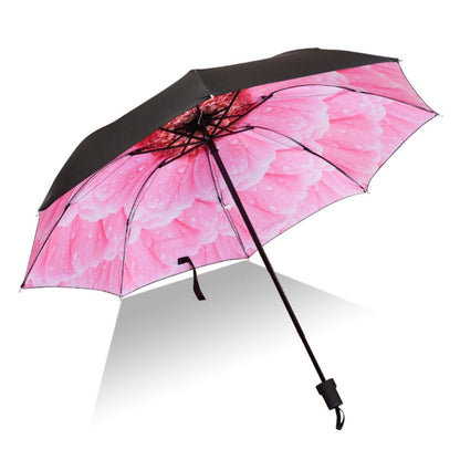 Black Waterproof Anti-UV, C Pattern, E Pattern, F Pattern, K Pattern, L Pattern, M Pattern, A Pattern, B Pattern, Q Pattern