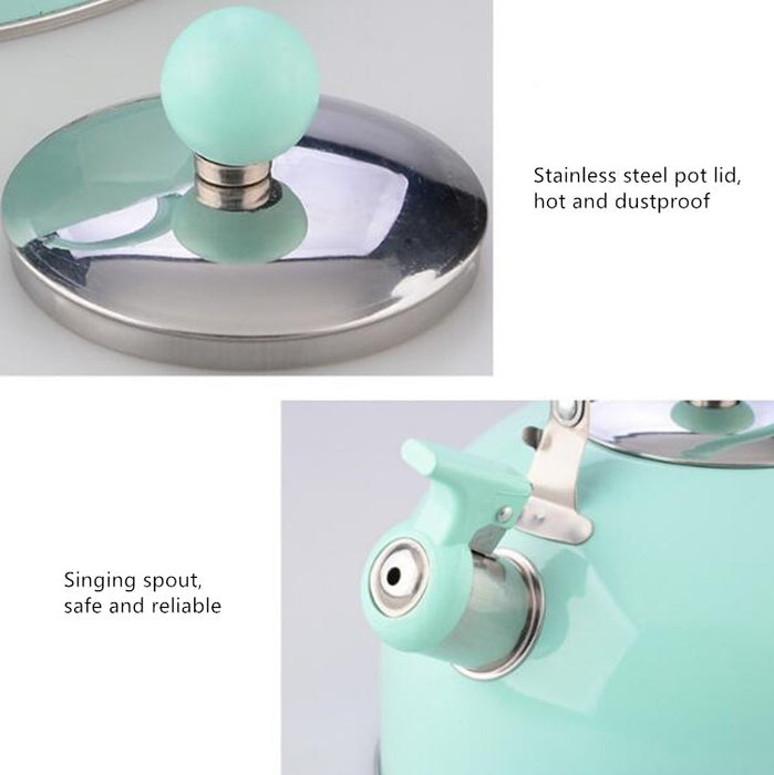 Non Magnetic Thick Stainless Steel Whistle Kettle Dome Whistle Kettle