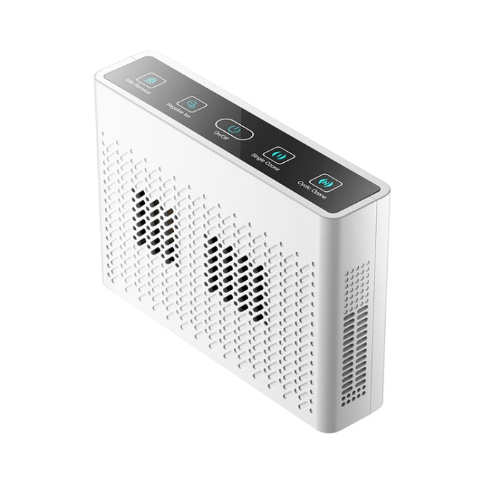 XDCM06 Vehicle Negative Ion Air Purifier